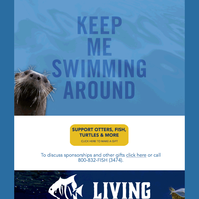 North Carolina Aquarium Society E-blast