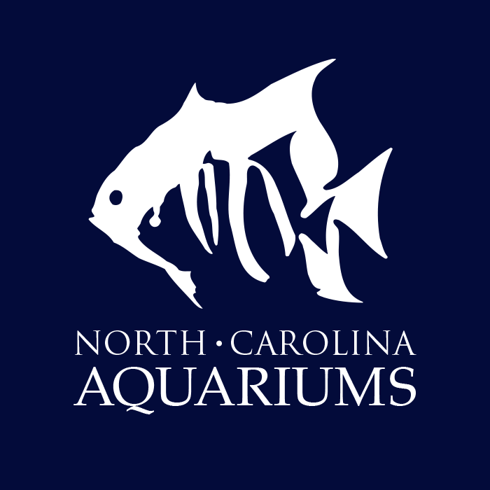 North Carolina Aquarium Society logo