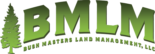 Bush Masters Land Management Logo Design
